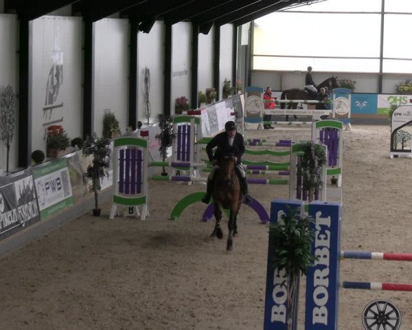 Reitturnier Borken 2024