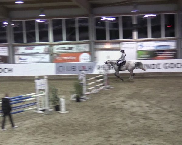 Reitturnier Goch 2024