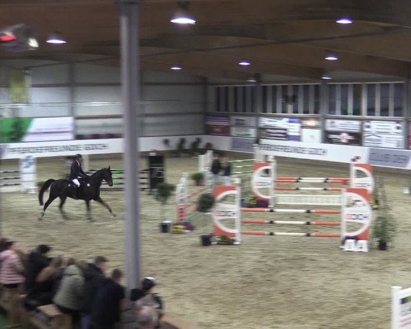 Reitturnier Goch 2024
