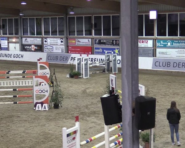 Reitturnier Goch 2024