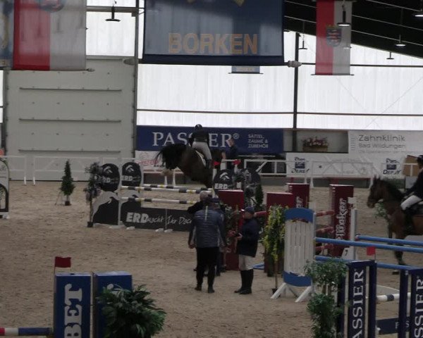 Reitturnier Borken 2024
