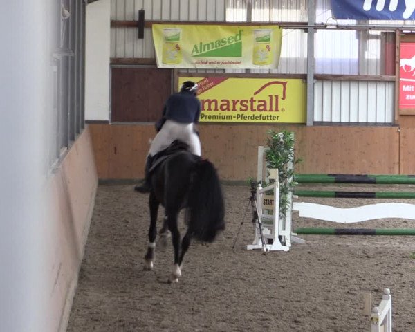 Reitturnier Schlieckau 2024