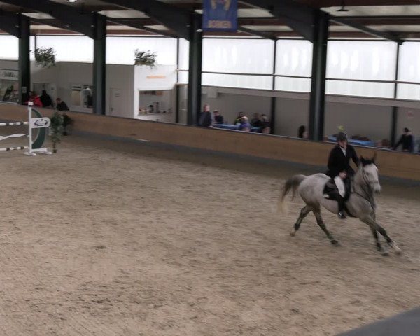Reitturnier Borken 2024