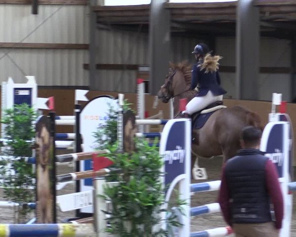 Reitturnier Schlieckau 2024