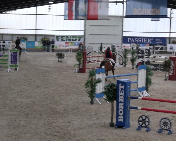 Reitturnier Borken 2024