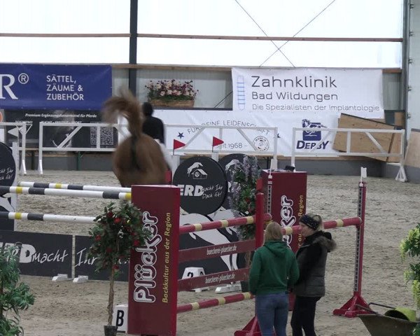 Reitturnier Borken 2024