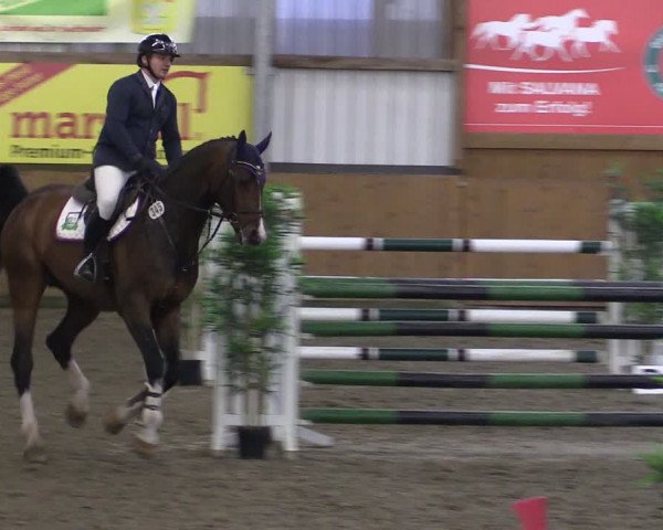 Reitturnier Schlieckau 2024