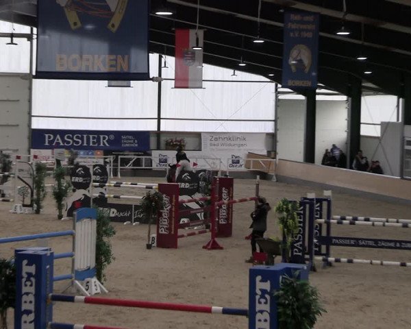 Reitturnier Borken 2024
