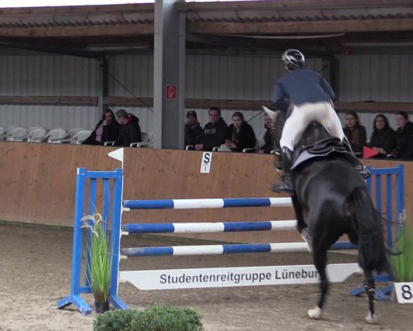 Reitturnier Schlieckau 2024