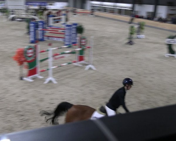 Reitturnier Borken 2024
