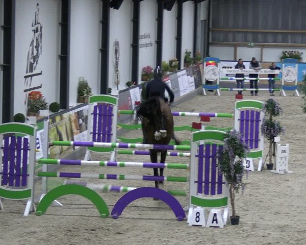 Reitturnier Borken 2024