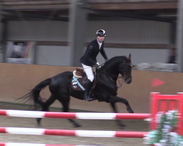 Reitturnier Schlieckau 2024