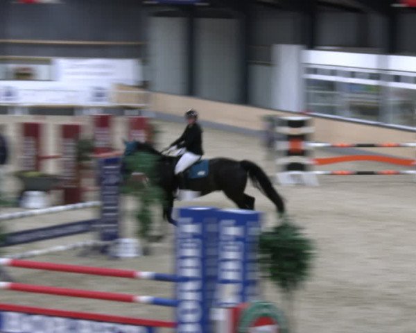 Reitturnier Borken 2024