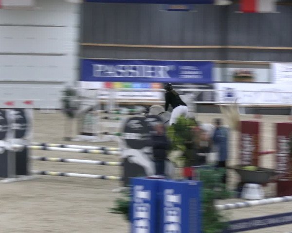 Reitturnier Borken 2024