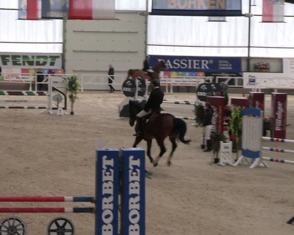 Reitturnier Borken 2024