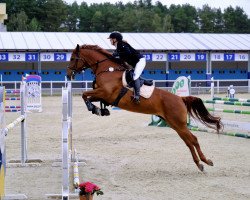 jumper Buona Sera 5 (Rhinelander, 2015, from Burma Gold xx)