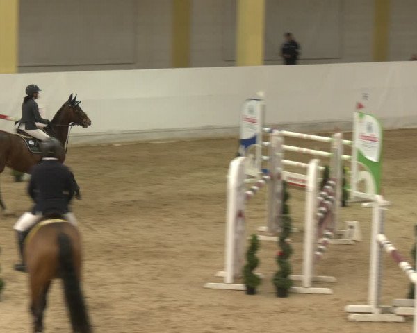 Reitturnier Stadl-Paura 2024