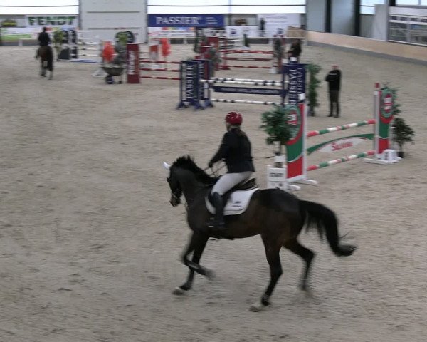 Reitturnier Borken 2024