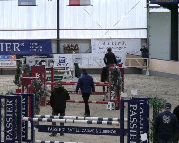 Reitturnier Borken 2024