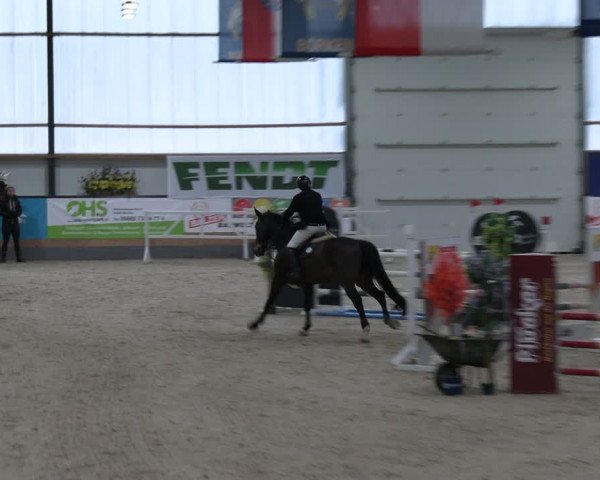 Reitturnier Borken 2024