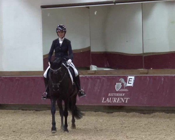 Reitturnier Eicherloh RH Laurent/Obb. 2024
