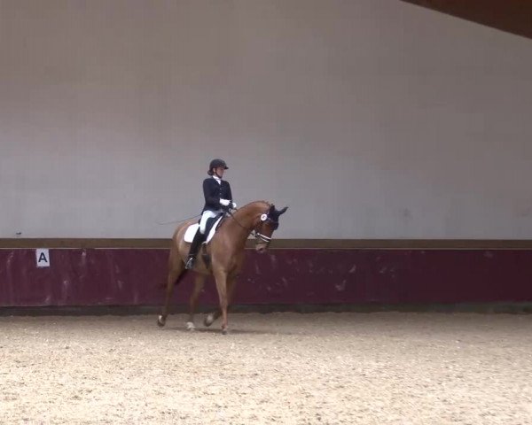 Reitturnier Eicherloh RH Laurent/Obb. 2024