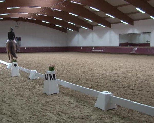 Reitturnier Eicherloh RH Laurent/Obb. 2024