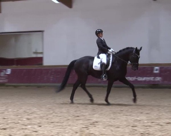 Reitturnier Eicherloh RH Laurent/Obb. 2024