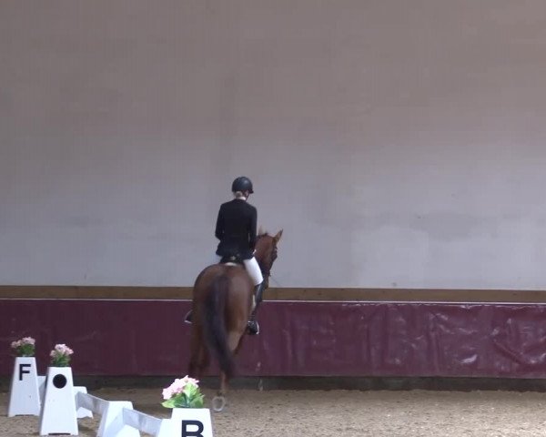 Reitturnier Eicherloh RH Laurent/Obb. 2024