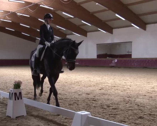 Reitturnier Eicherloh RH Laurent/Obb. 2024