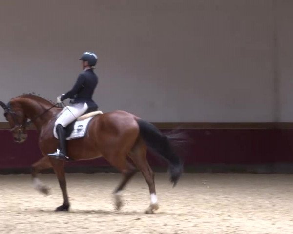 Reitturnier Eicherloh RH Laurent/Obb. 2024