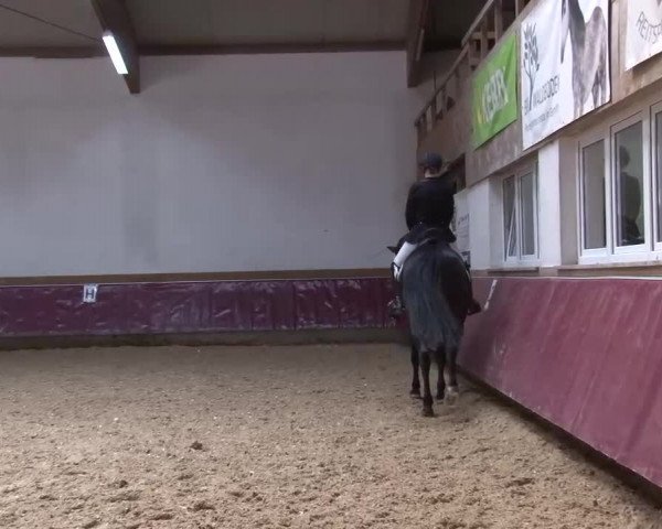 Reitturnier Eicherloh RH Laurent/Obb. 2024