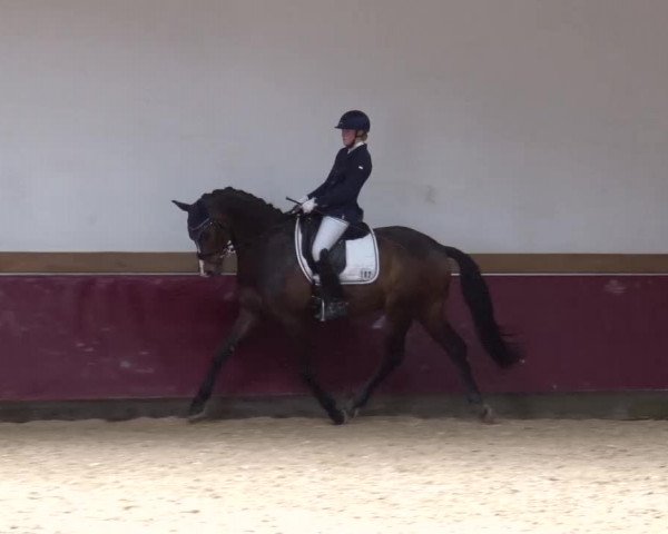 Reitturnier Eicherloh RH Laurent/Obb. 2024