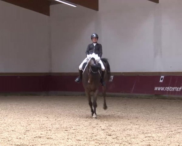 Reitturnier Eicherloh RH Laurent/Obb. 2024
