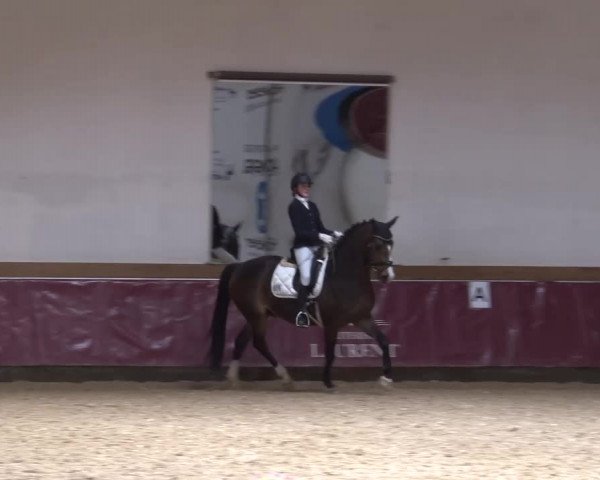 Reitturnier Eicherloh RH Laurent/Obb. 2024