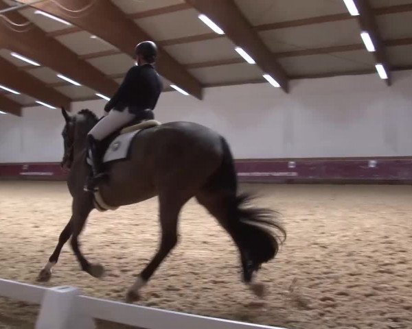 Reitturnier Eicherloh RH Laurent/Obb. 2024