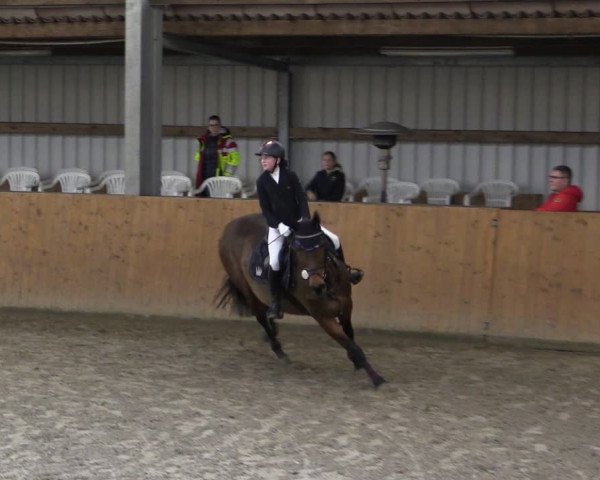 Reitturnier Schlieckau 2024