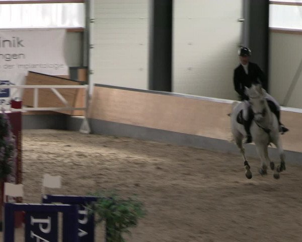 Reitturnier Borken 2024