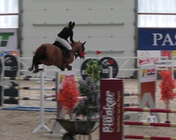 Reitturnier Borken 2024