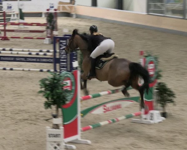 Reitturnier Borken 2024