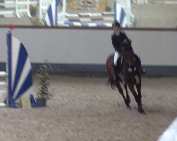 Reitturnier Münchehofe 2024