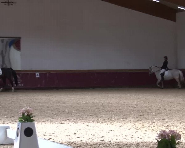 Reitturnier Eicherloh RH Laurent/Obb. 2024