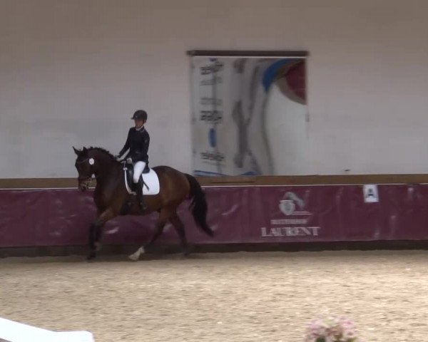 Reitturnier Eicherloh RH Laurent/Obb. 2024