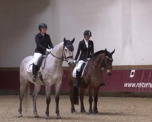 Reitturnier Eicherloh RH Laurent/Obb. 2024