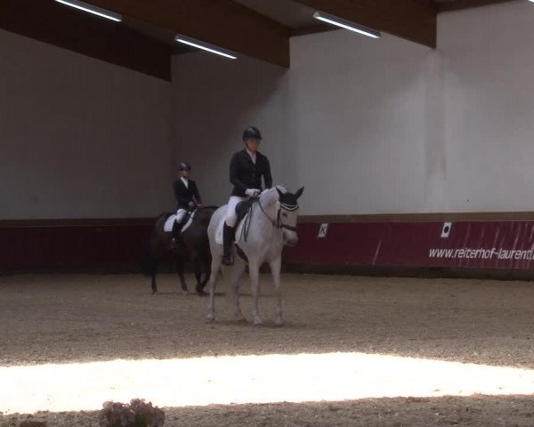 Reitturnier Eicherloh RH Laurent/Obb. 2024