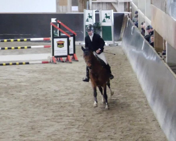 Reitturnier Weil der Stadt 2024
