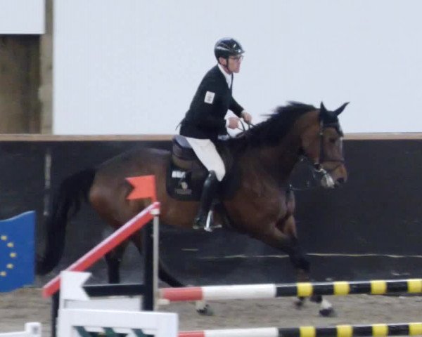 Reitturnier Weil der Stadt 2024