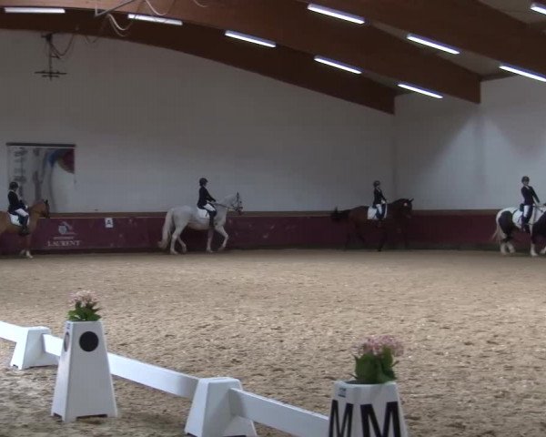 Reitturnier Eicherloh RH Laurent/Obb. 2024