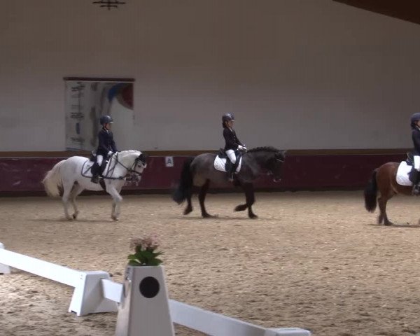 Reitturnier Eicherloh RH Laurent/Obb. 2024