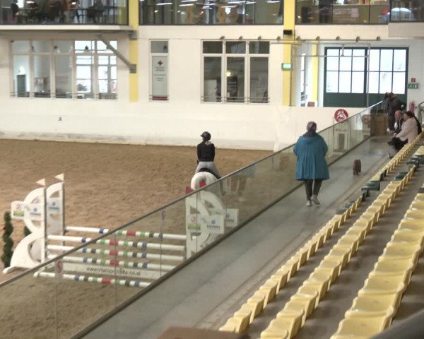 Reitturnier Stadl-Paura 2024